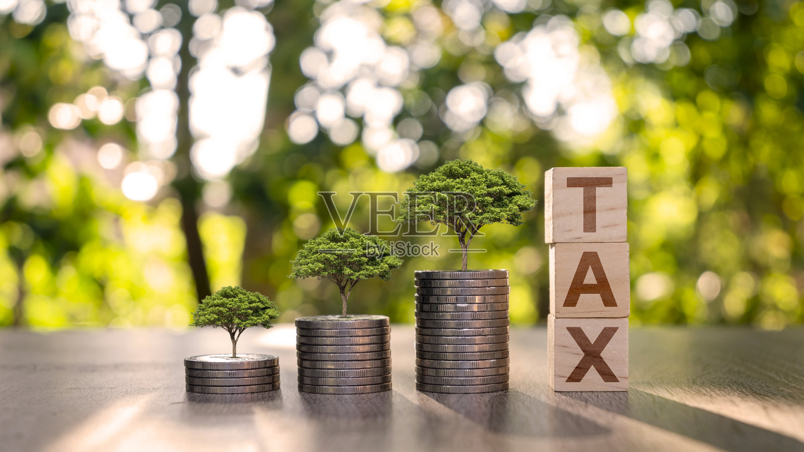 这棵树生长在成堆的钱和木头上，上面有税务标志、金融理念和经济状况。照片摄影图片