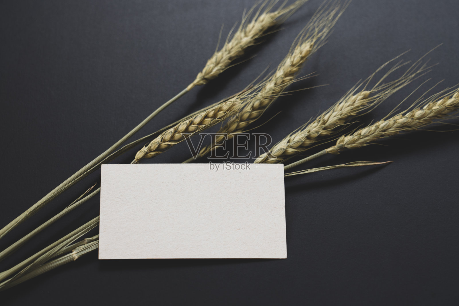 小麦和豆腐照片摄影图片