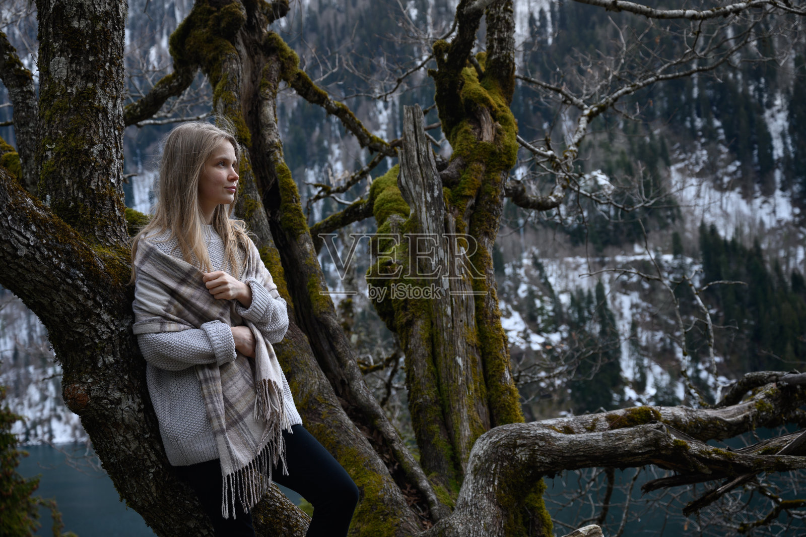 一个女孩坐在一棵树上，在阿布哈兹里察湖附近冥想照片摄影图片