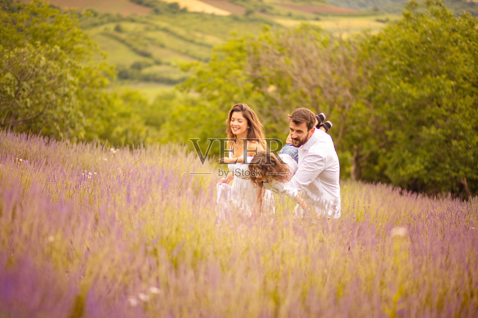 薰衣草地里的幸福家庭。质量的时间。照片摄影图片