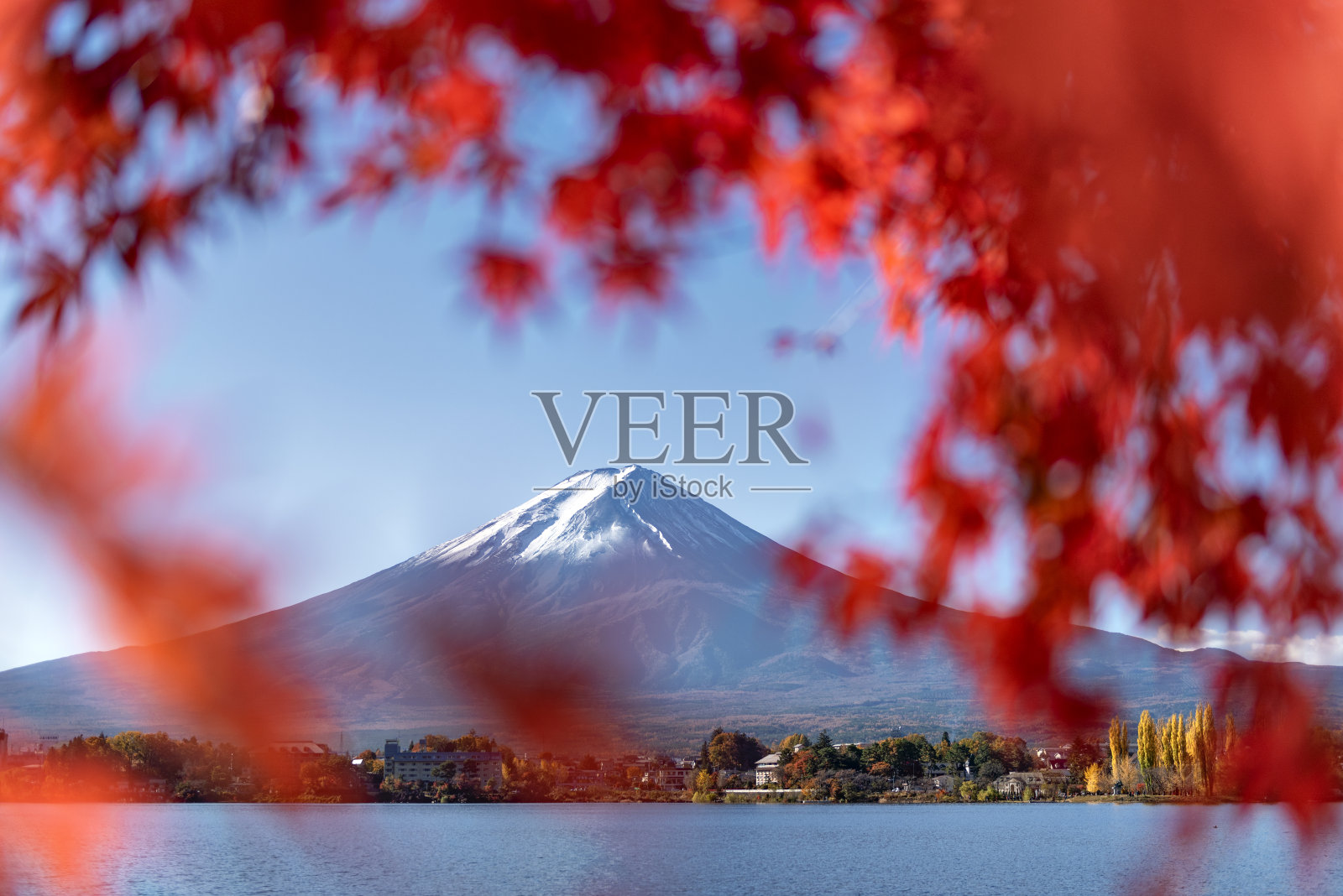 日本川口湖秋日红枫画框中的富士山照片摄影图片