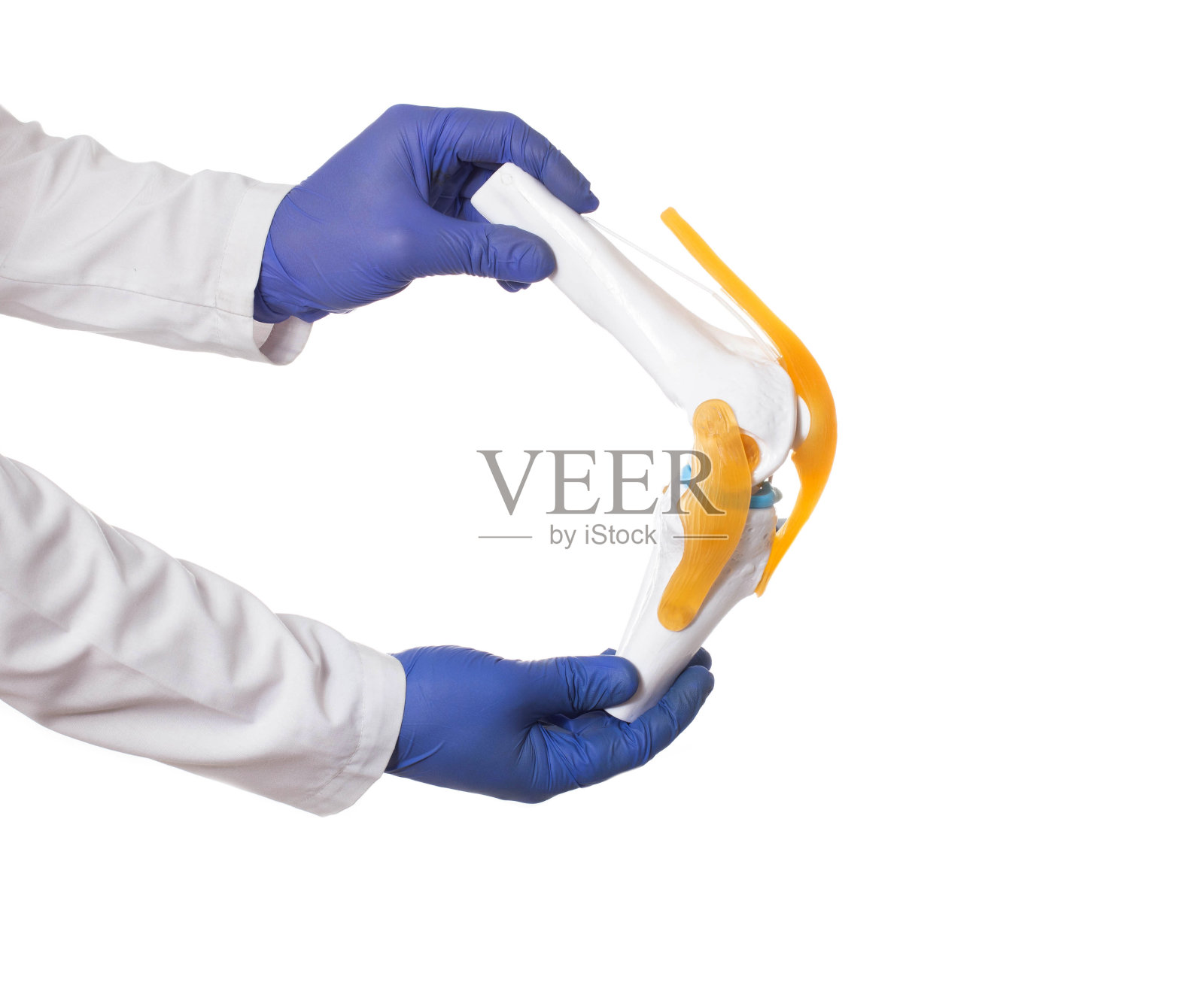 骨科医生持有一个膝关节模型在一个白色的背景，孤立。膝关节疾病概念，医生照片摄影图片