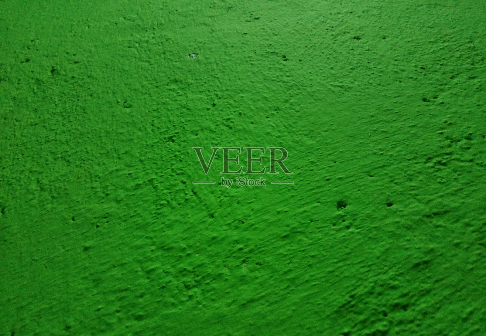 绿墙的表面是多孔的照片摄影图片