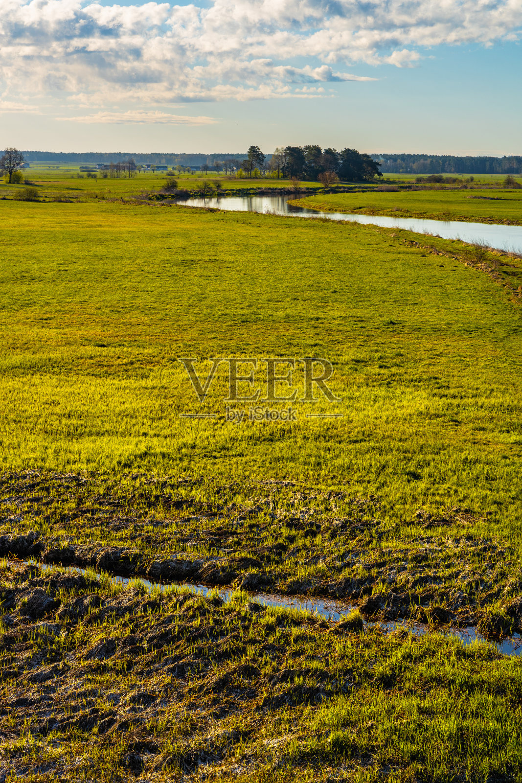 波兰波德拉西地区的纳鲁河谷湿地和自然保护区照片摄影图片