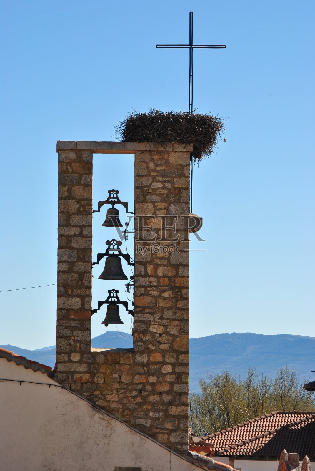 鹳在钟楼筑巢照片摄影图片