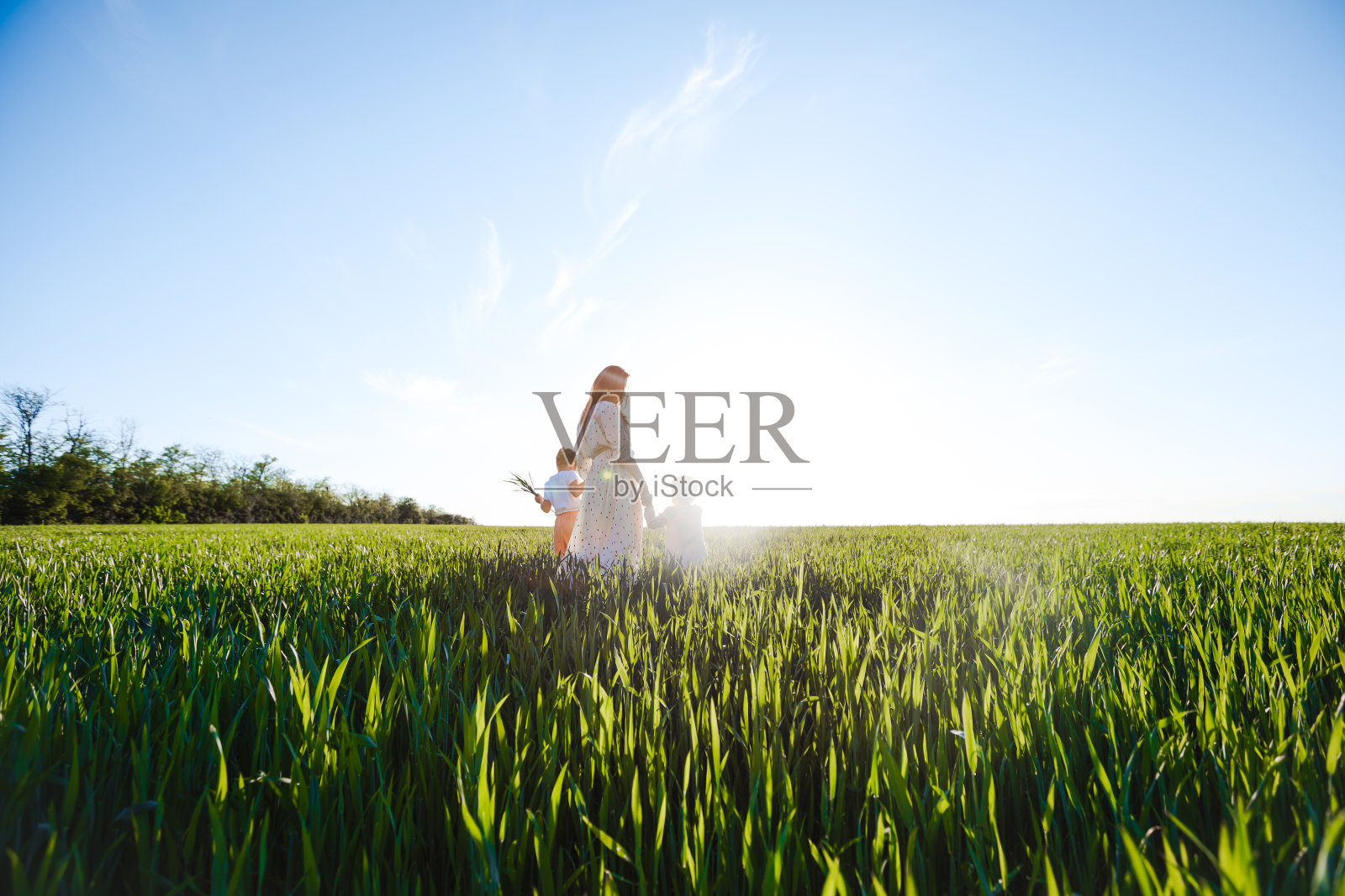 一位母亲带着两个女儿走在绿色的田野里。拥抱和感情。照片摄影图片