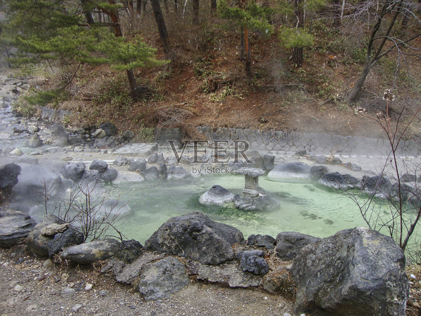 日本东京夏季的塞诺川原公园照片摄影图片