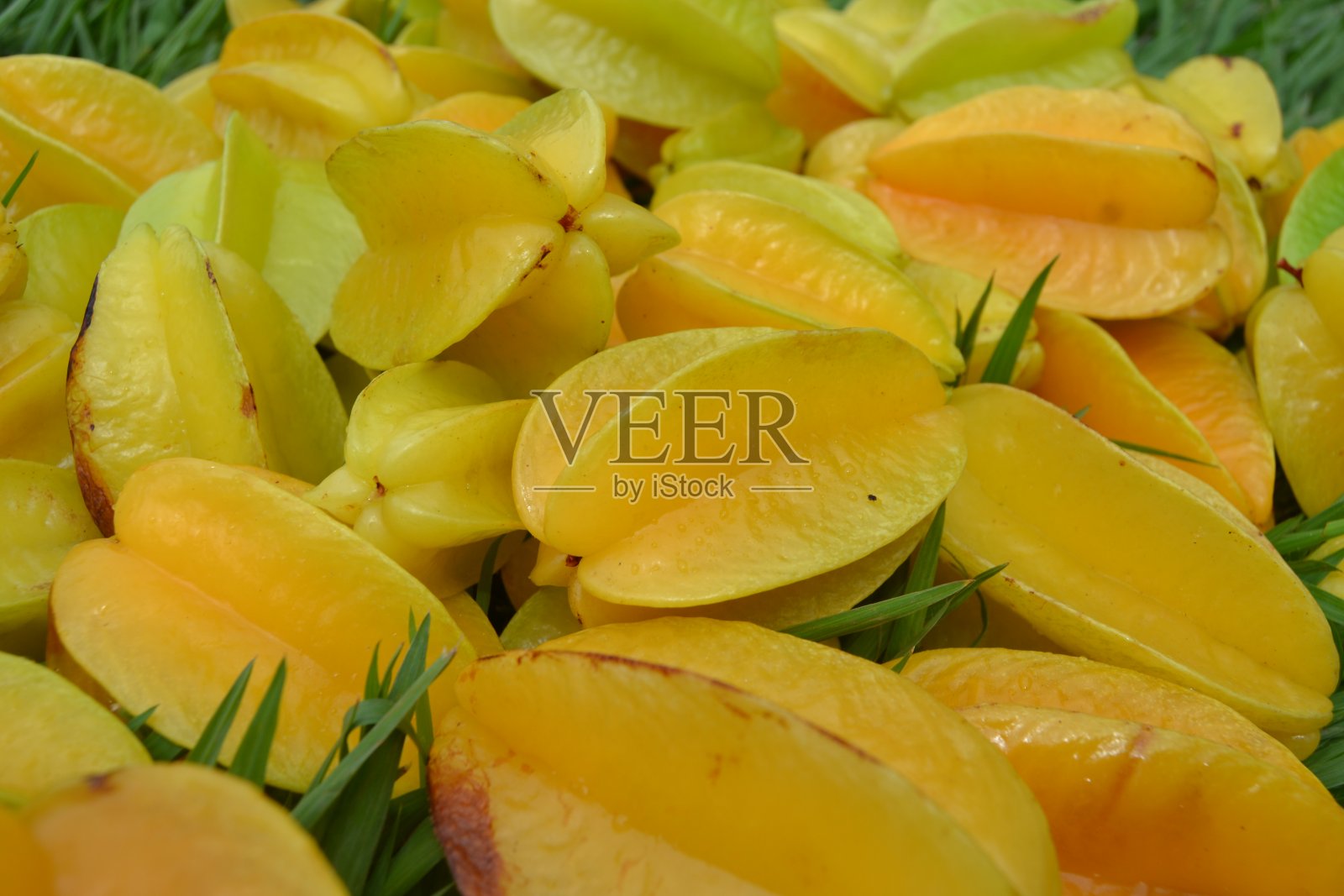 杨桃五角杨桃照片摄影图片