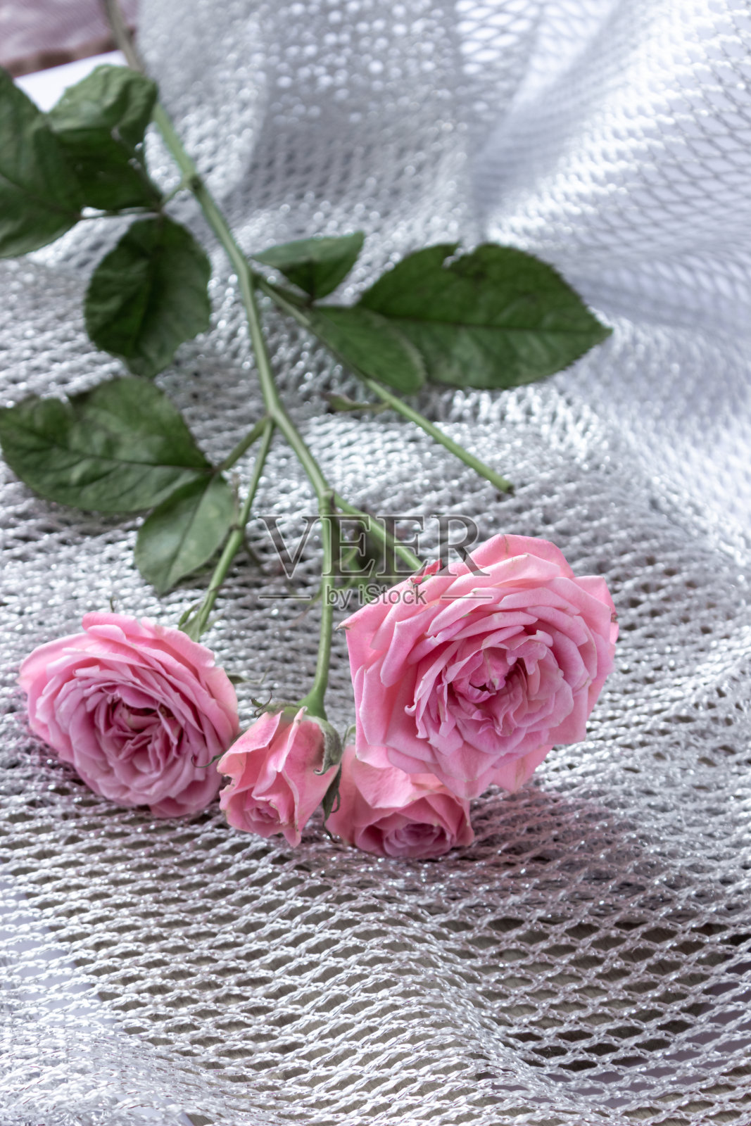 一束粉红色的玫瑰插在花瓶上，背景是羊毛织物，从上面看。照片摄影图片
