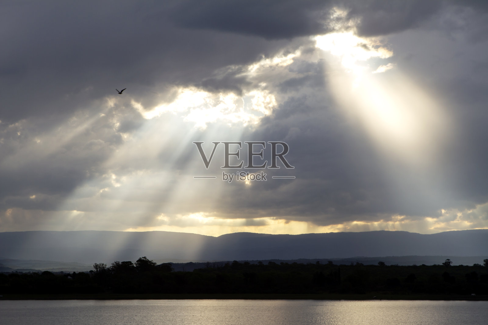 太阳光照片摄影图片