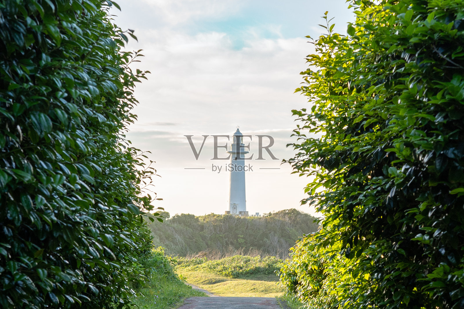 清晨的小灯塔景色照片摄影图片