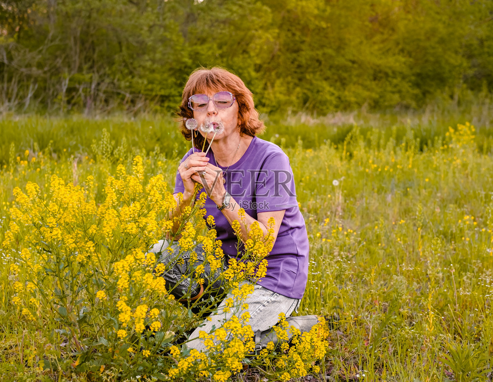 老妇人吹蒲公英照片摄影图片