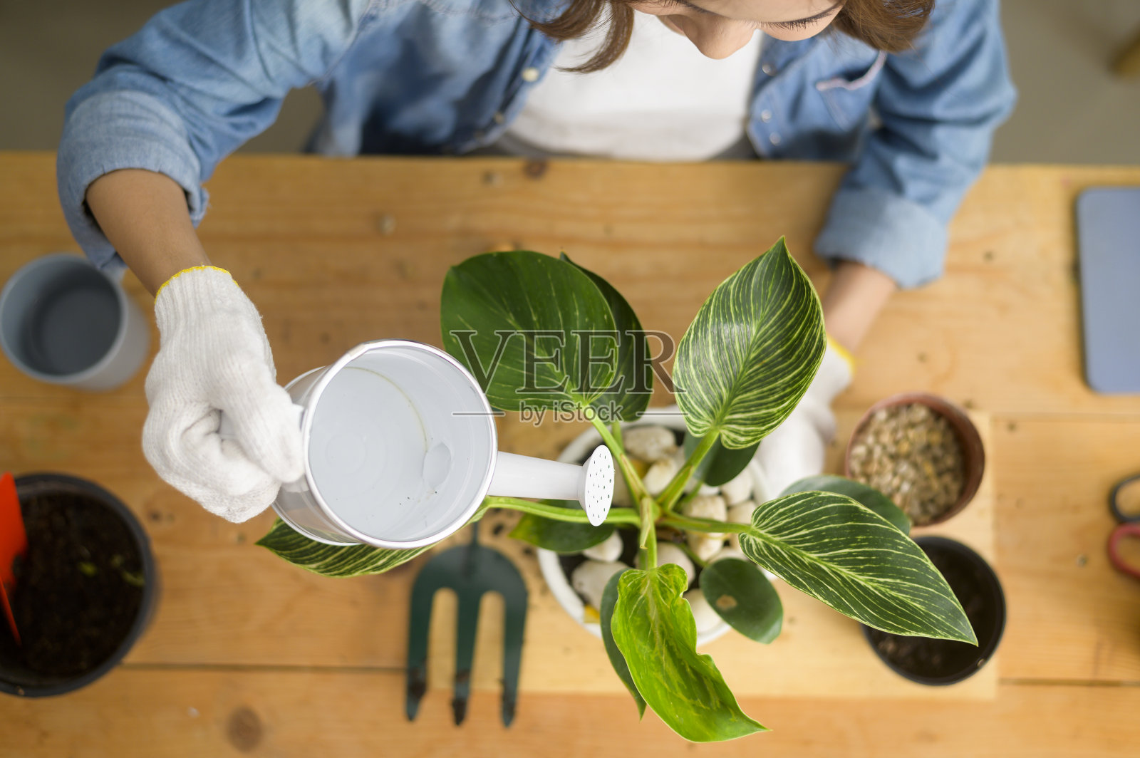 俯视图快乐年轻美丽的女人享受和放松休闲活动在花园在家里照片摄影图片
