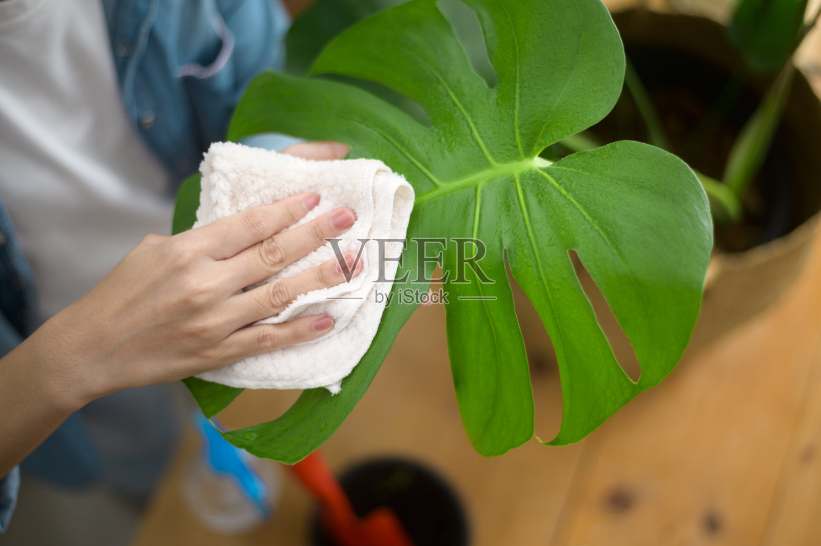 俯视图快乐年轻美丽的女人享受和放松休闲活动在花园在家里照片摄影图片
