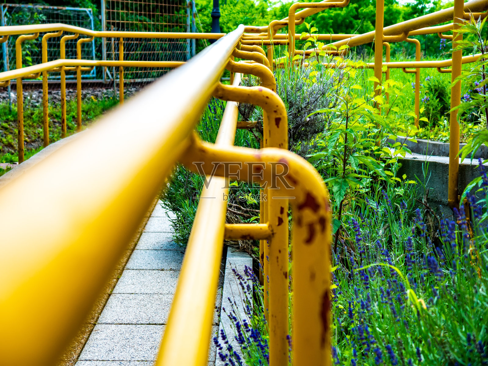 看到人行道上的黄色栏杆照片摄影图片