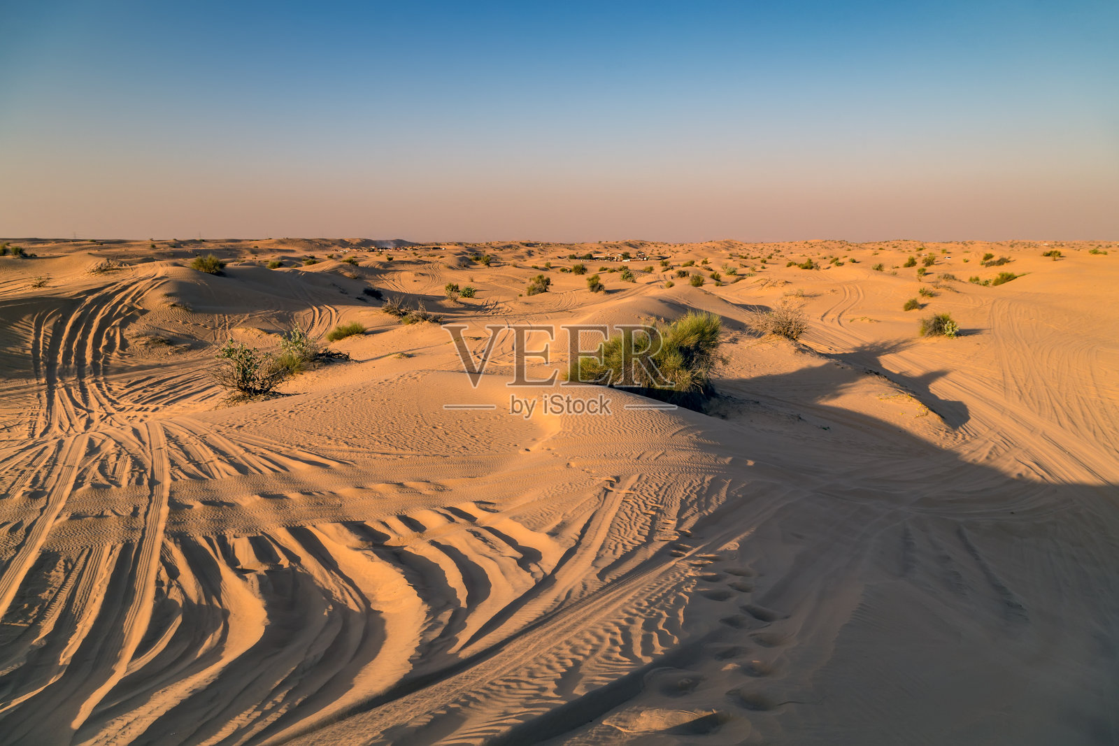 迪拜野生动物园游客照片摄影图片