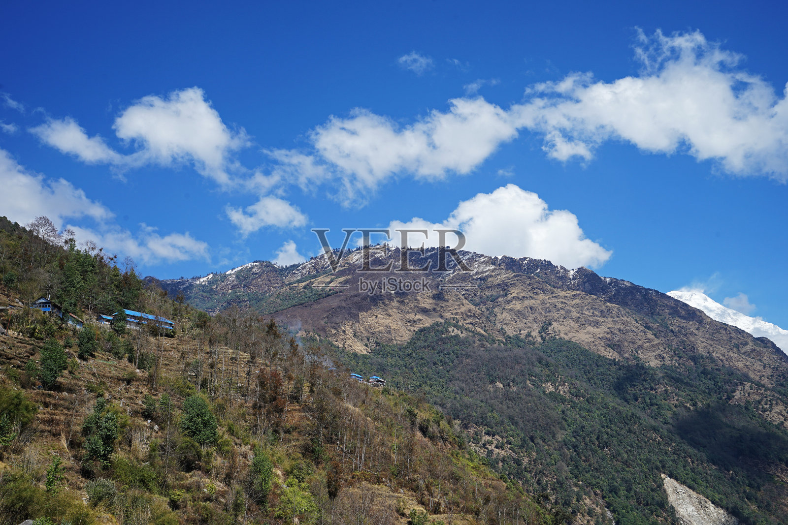 在绿色森林中有岩石台阶的徒步小径照片摄影图片