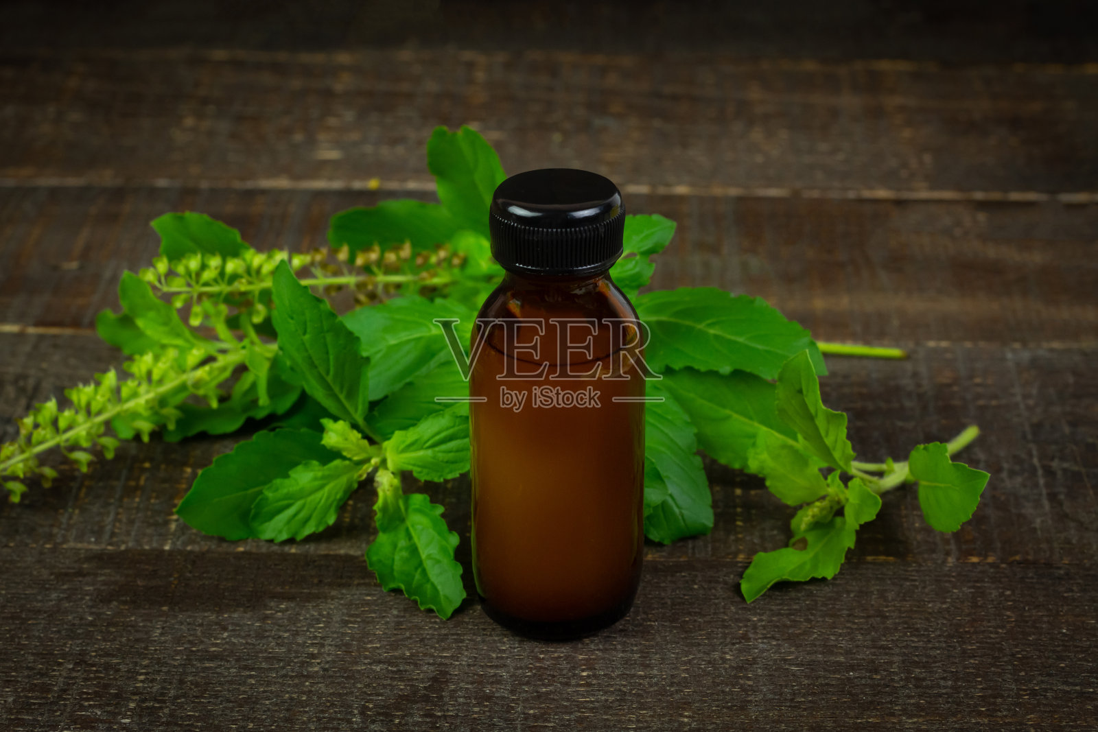 圣罗勒或图尔西精油瓶照片摄影图片