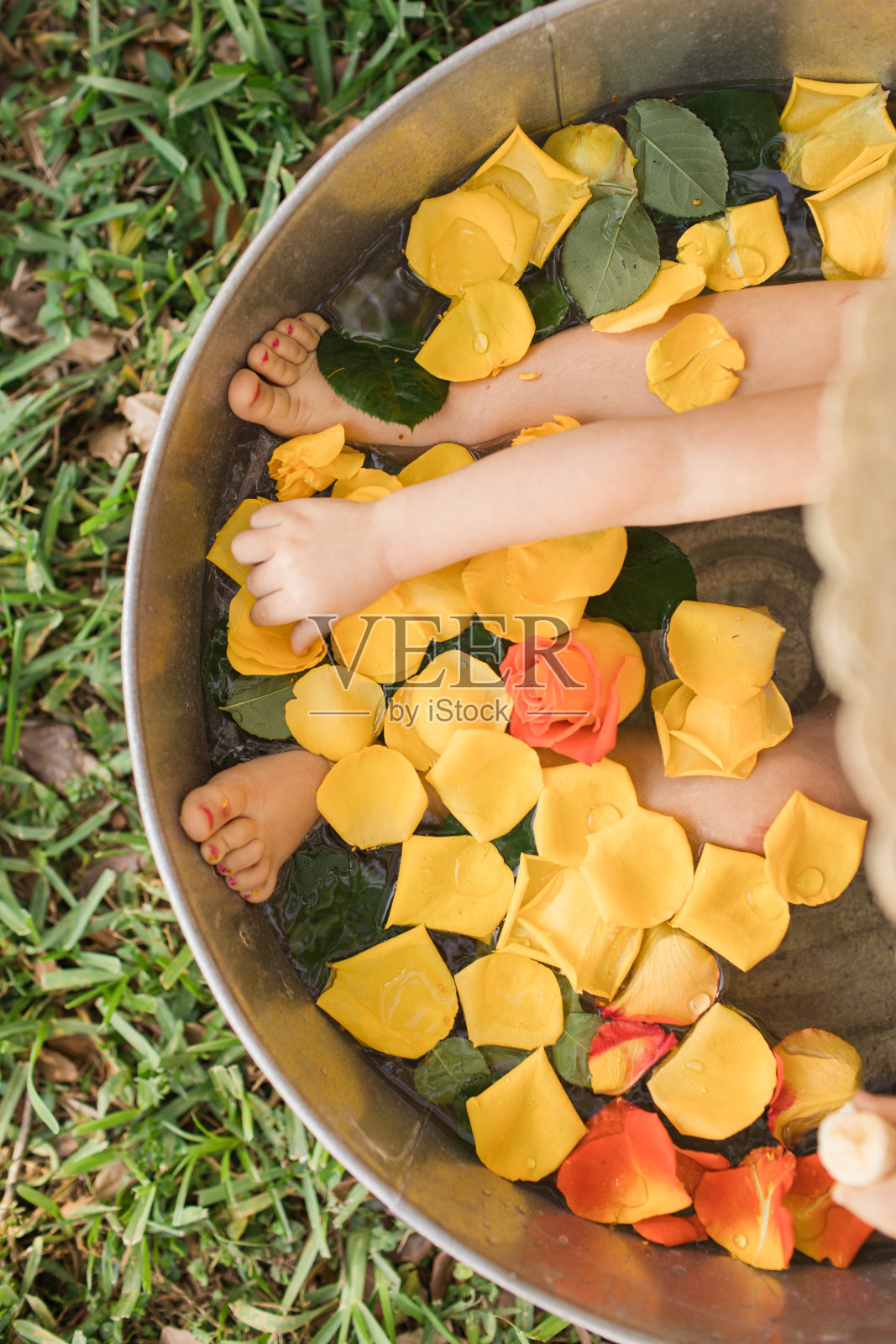 小女孩戴着太阳帽，在一个装满新鲜的黄色和橙色春天玫瑰花瓣和淡水的镀锌锡里玩耍照片摄影图片