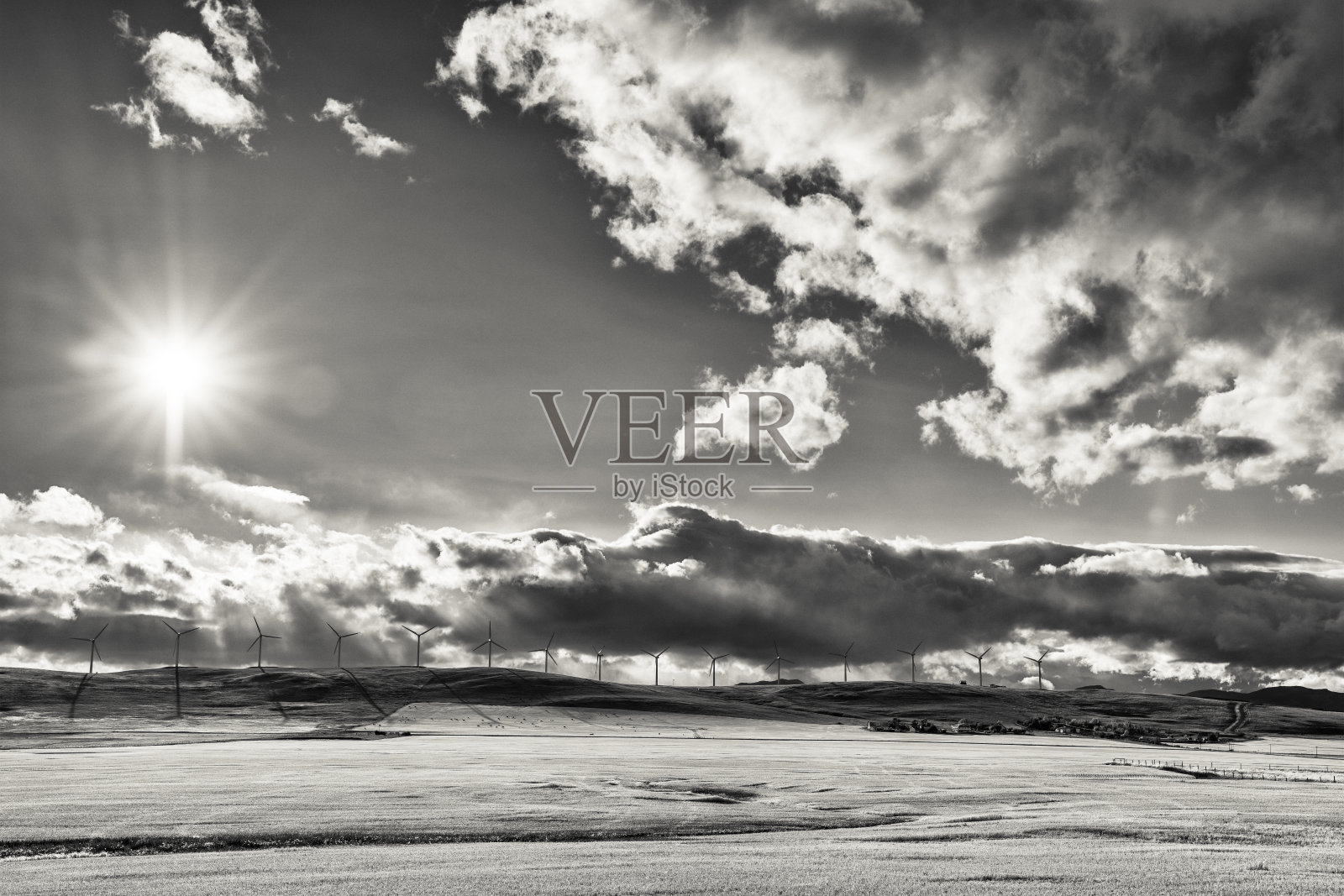 加拿大阿尔伯塔省农村照片摄影图片