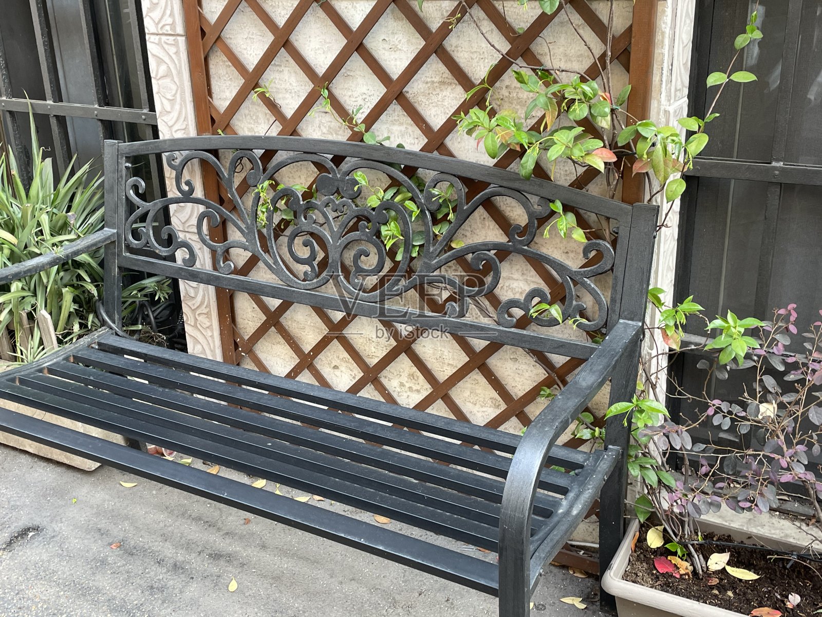 有墙和植物的长凳照片摄影图片