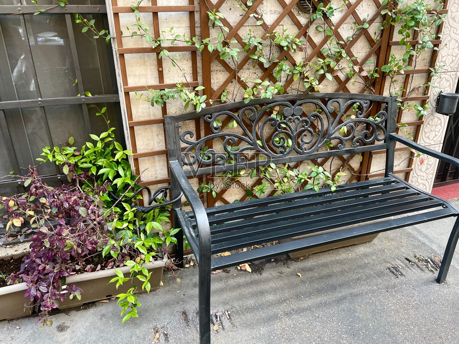 有墙和植物的长凳照片摄影图片