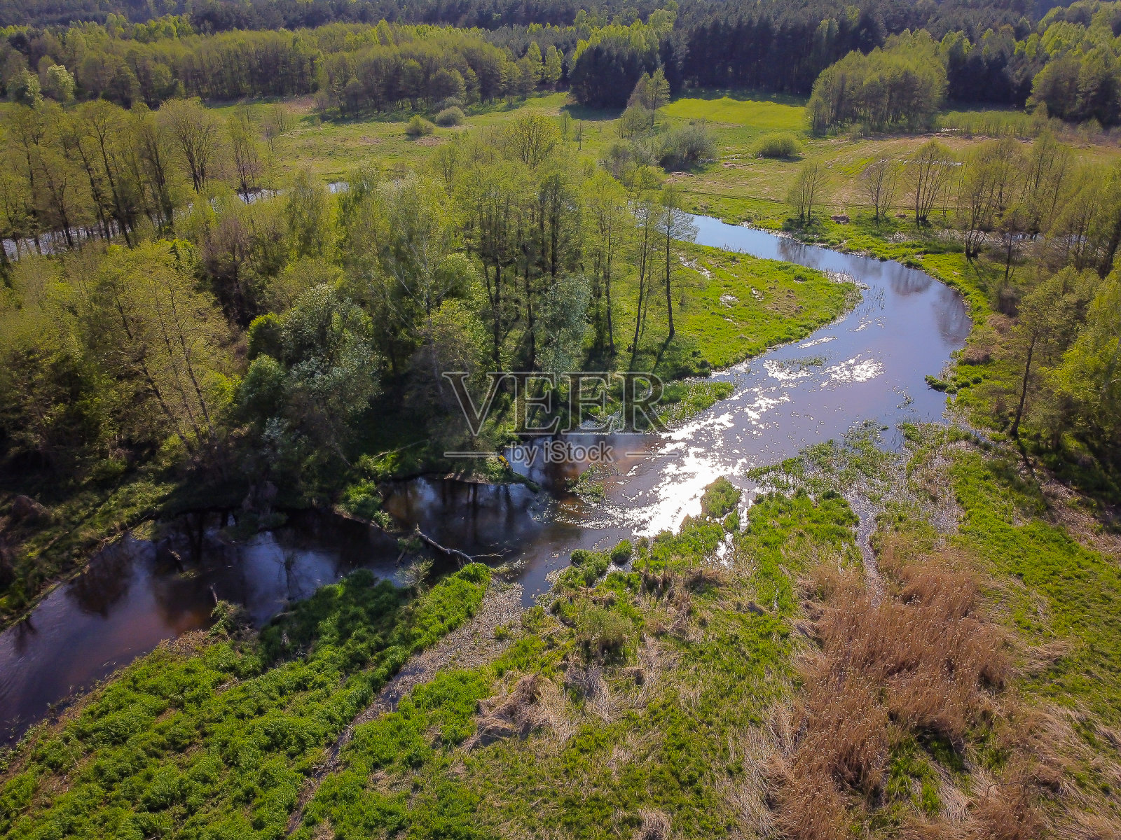 在一个阳光明媚的春日飞过一条小河。照片摄影图片