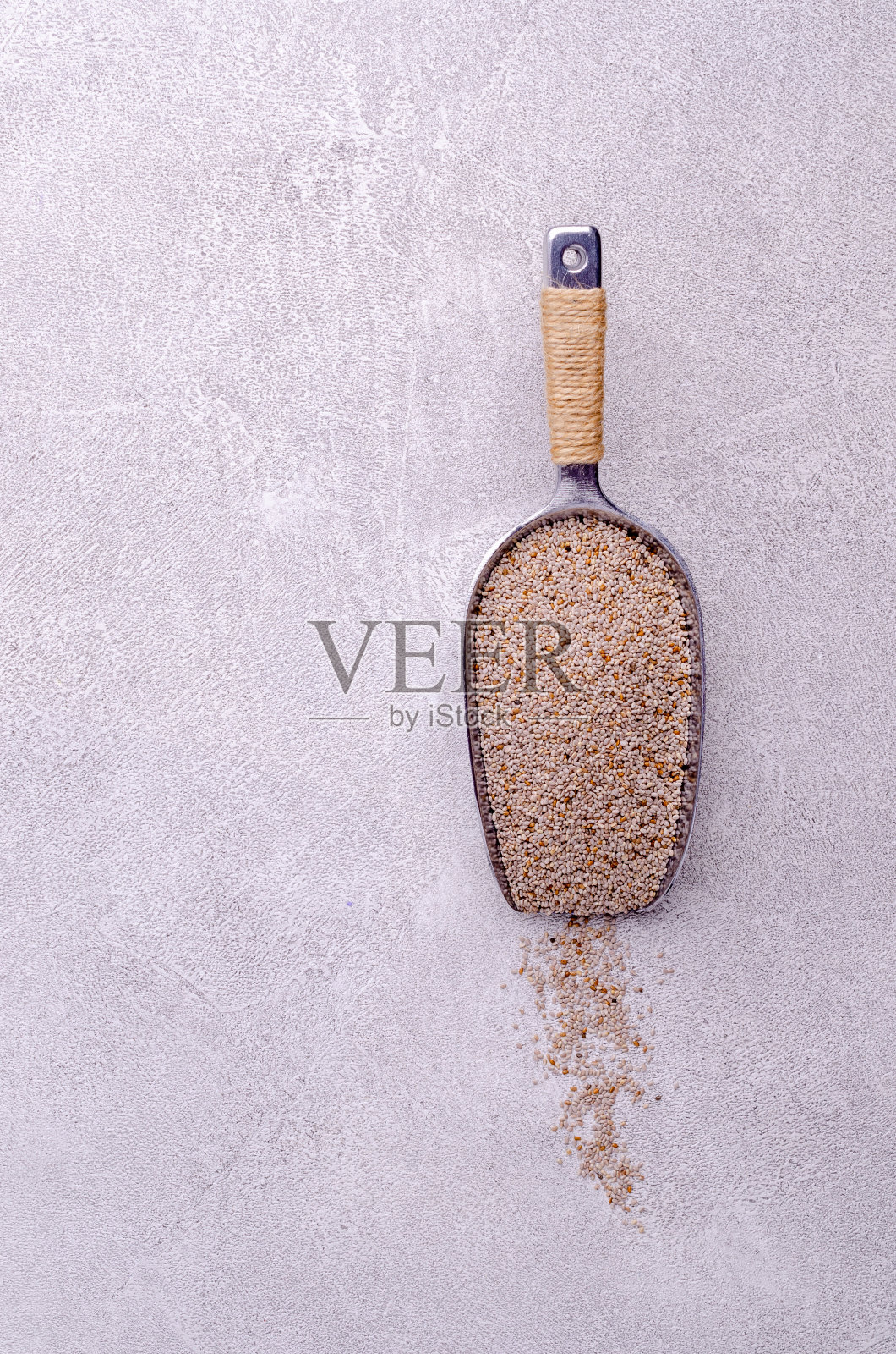 白色芡欧鼠尾草种子照片摄影图片