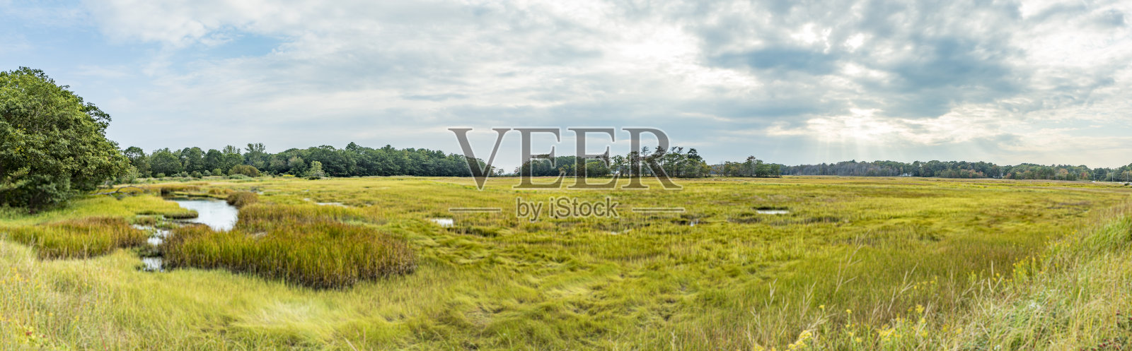 美国斯卡伯勒风景优美的沼泽景观照片摄影图片