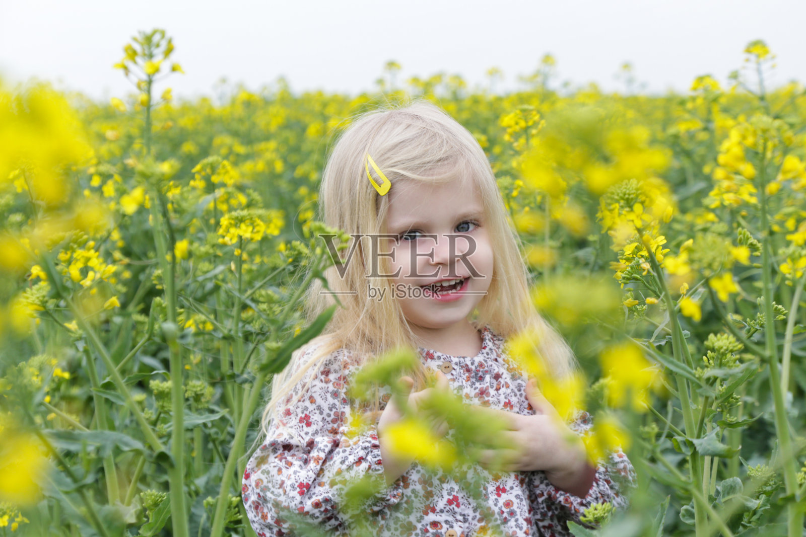户外偷拍的照片可爱的金发女孩在黄花的田野。照片摄影图片