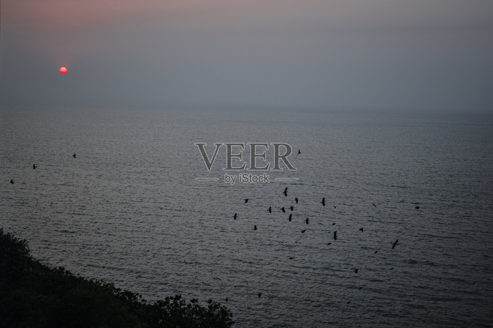 《暮光之城》照片摄影图片