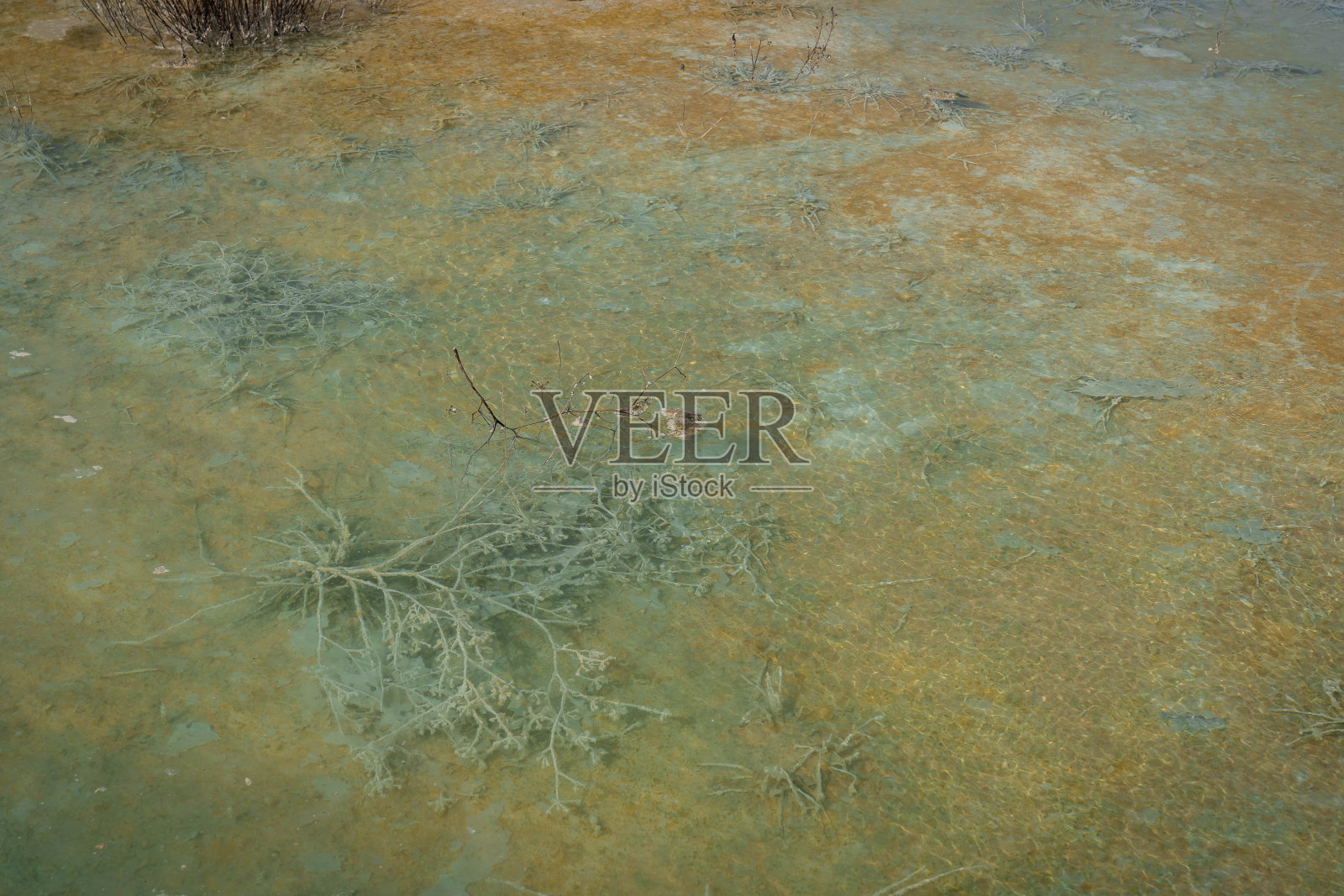 意大利拉齐奥Bulicame温泉池照片摄影图片