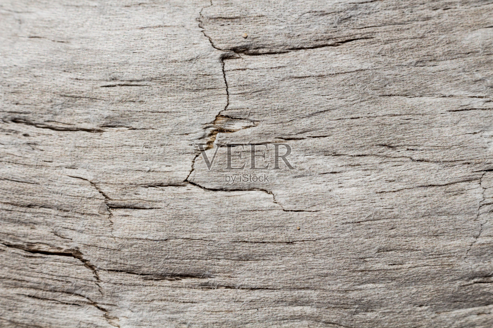 伍迪的宏观背景照片摄影图片