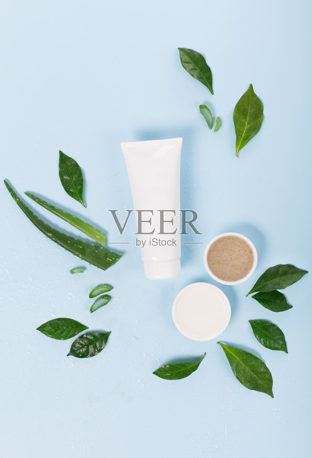 化妆品霜面部模型管容器或身体乳液，芦荟和绿叶在蓝色背景。照片摄影图片