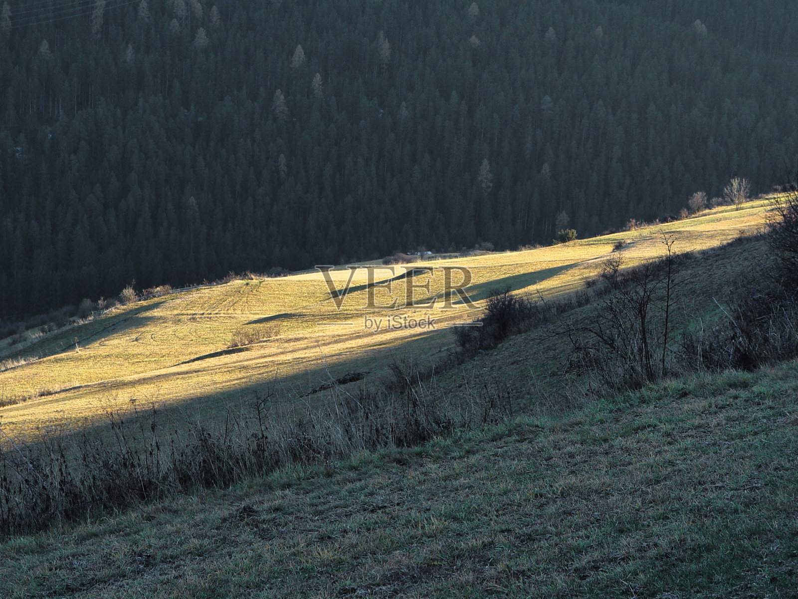 高山草地上的光影。照片摄影图片