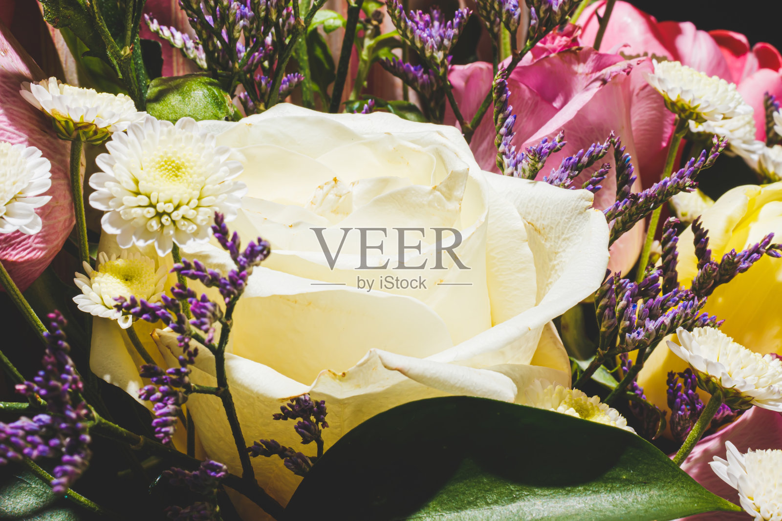 春天的花束，鲜艳多彩的花朵特写照片摄影图片