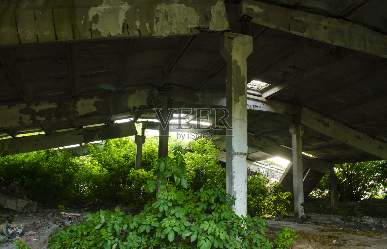 旧的工业内部，一个废弃的机库，杂草丛生，很快就会倒下，只站在一个支点上，光线通过它的方式。废弃的、腐烂的、杂草丛生的工业建筑。内部在一个废弃的面照片摄影图片