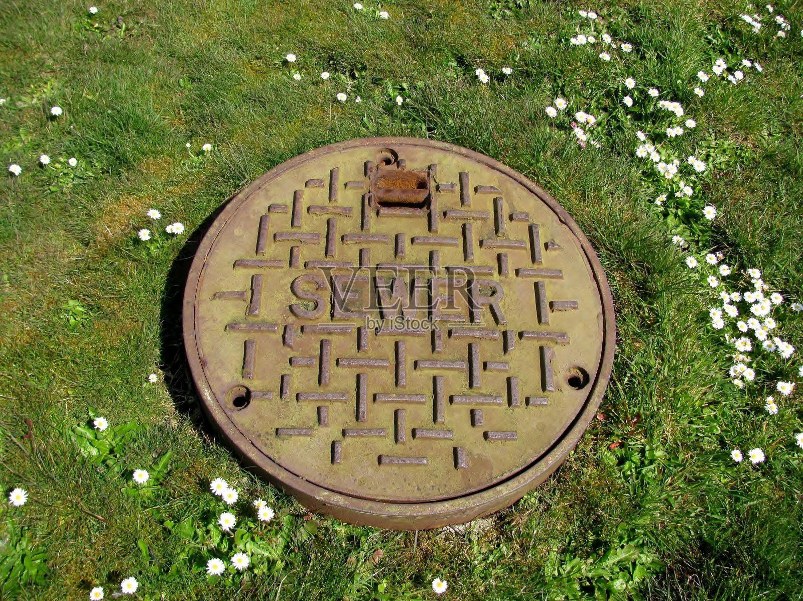 在绿色草坪上封闭的下水道井。照片摄影图片