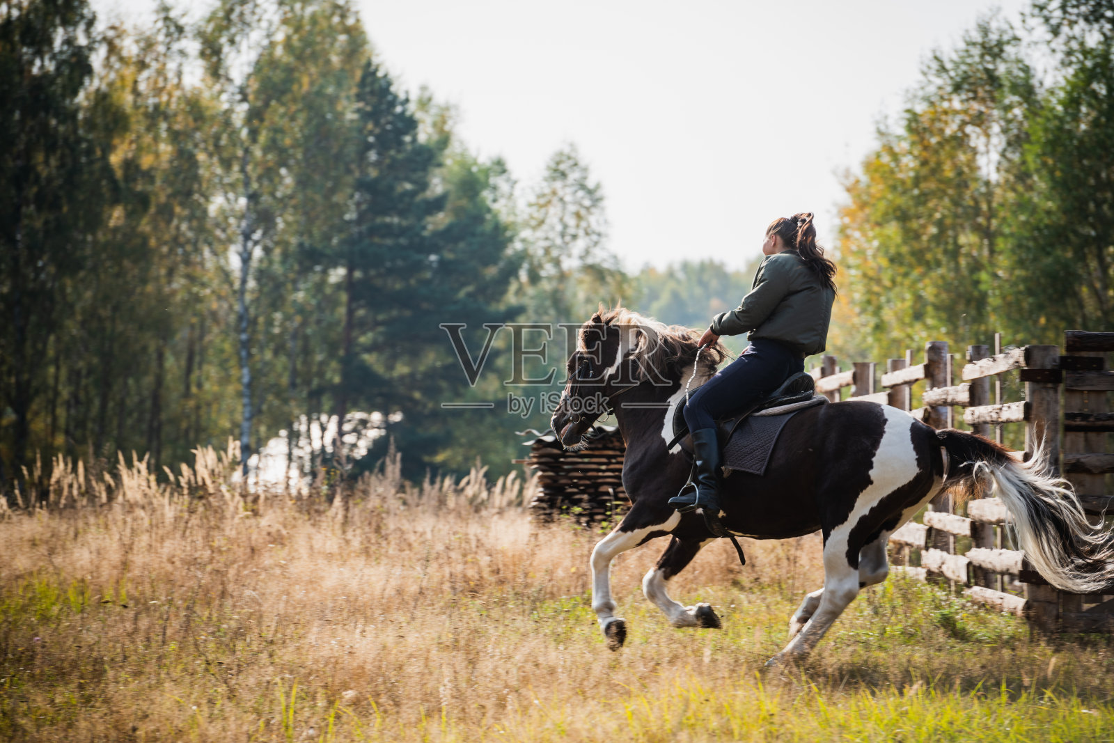 可爱的女孩骑着她的快马在牧场的领土上照片摄影图片