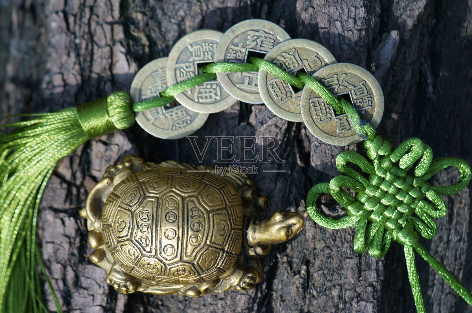 树干上有一只金属龟和一串中国硬币。照片摄影图片