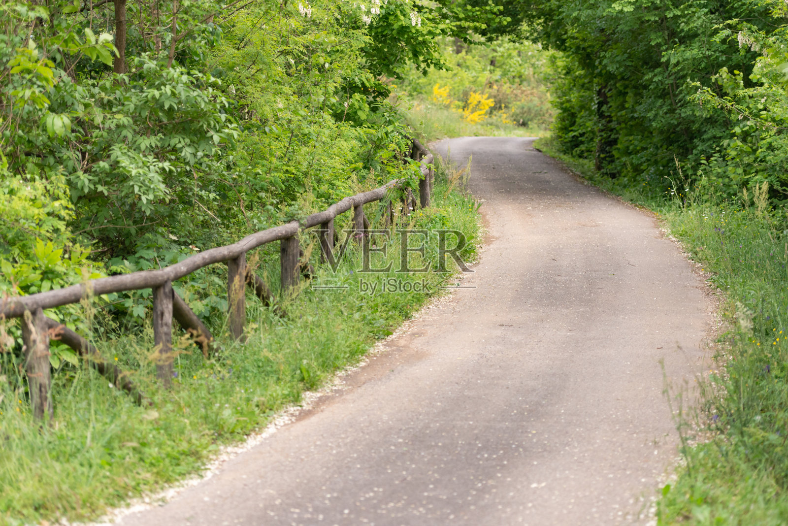 山上用老树干做成的篱笆照片摄影图片