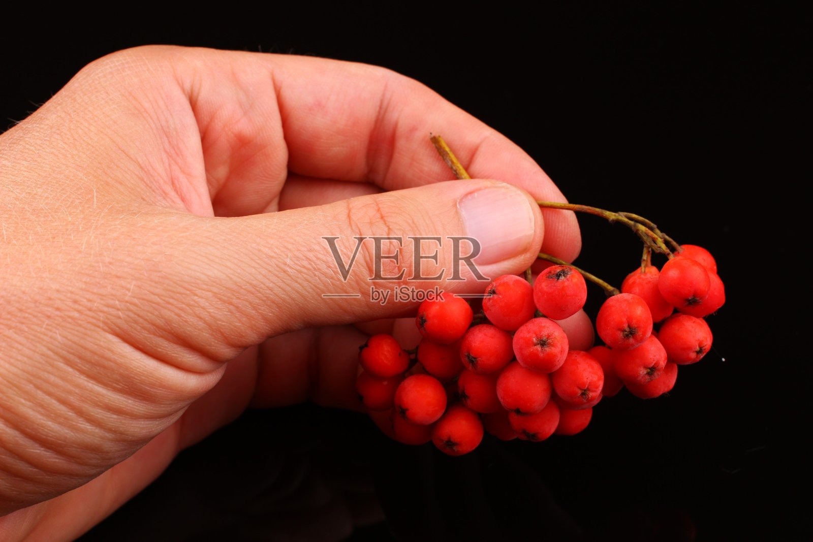 手里拿着一束花，背景是黑色照片摄影图片