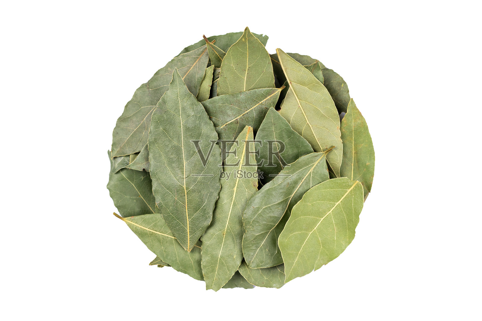 芳香的月桂叶，圆形，白色背景照片摄影图片