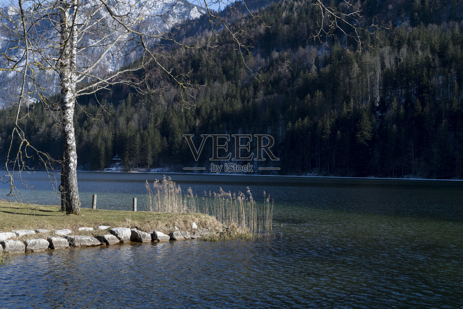 在奥地利的Lunzersee徒步旅行照片摄影图片
