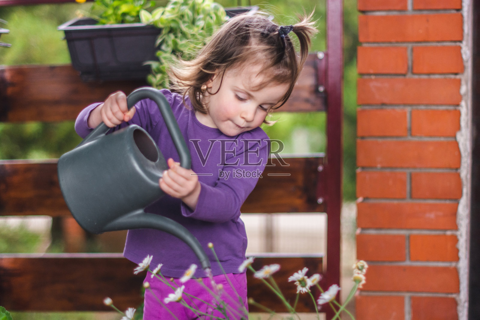 女孩正在玩浇花照片摄影图片