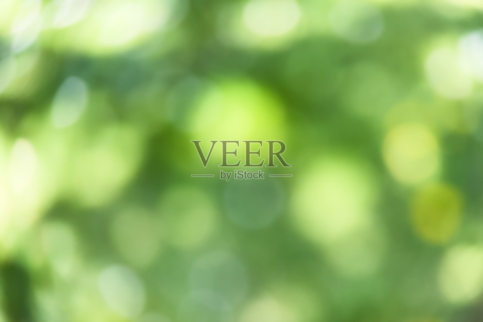 散焦自然背景。插画图片素材