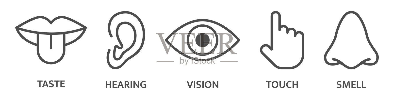 五种感官听觉，味觉嗅觉，视觉，触觉，视觉。标志设置。耳朵，眼睛，鼻子，嘴，舌头手线图标。感官知觉的象征。矢量图图标素材