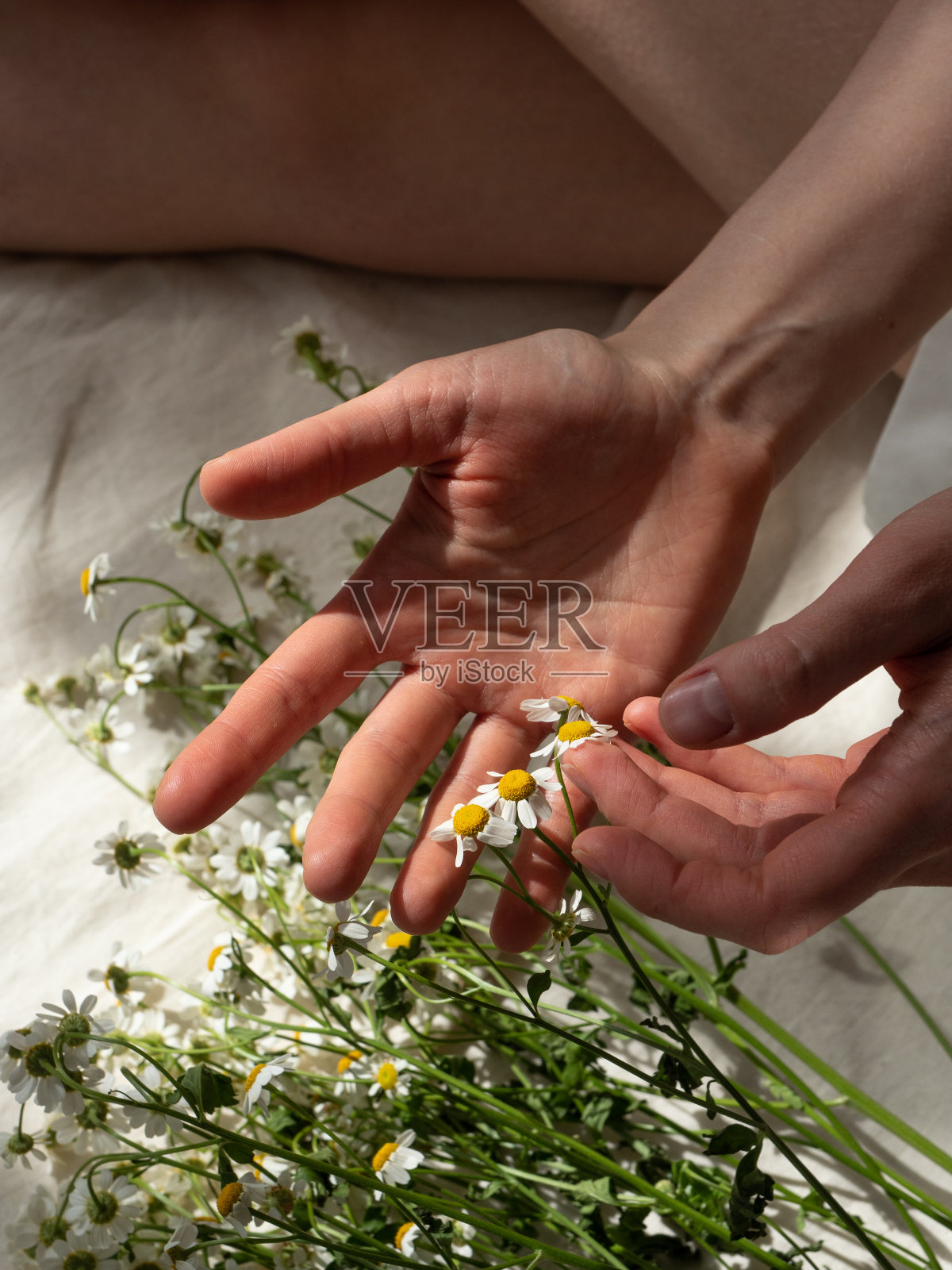 一束雏菊躺在地板旁边，一个年轻的女人穿着白衬衫坐在一个轻织物在早晨的阳光照片摄影图片