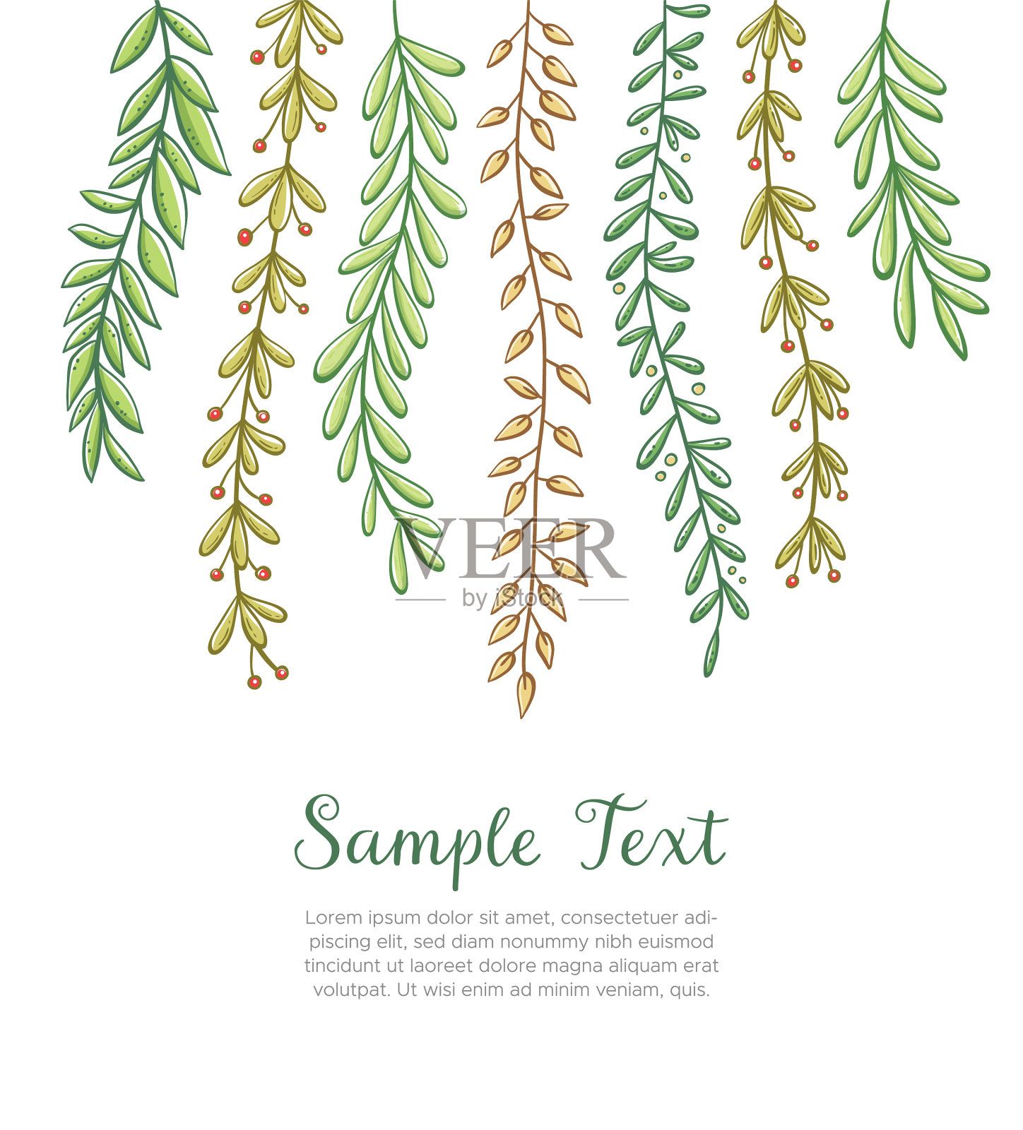 彩色悬垂植物背景插画图片素材