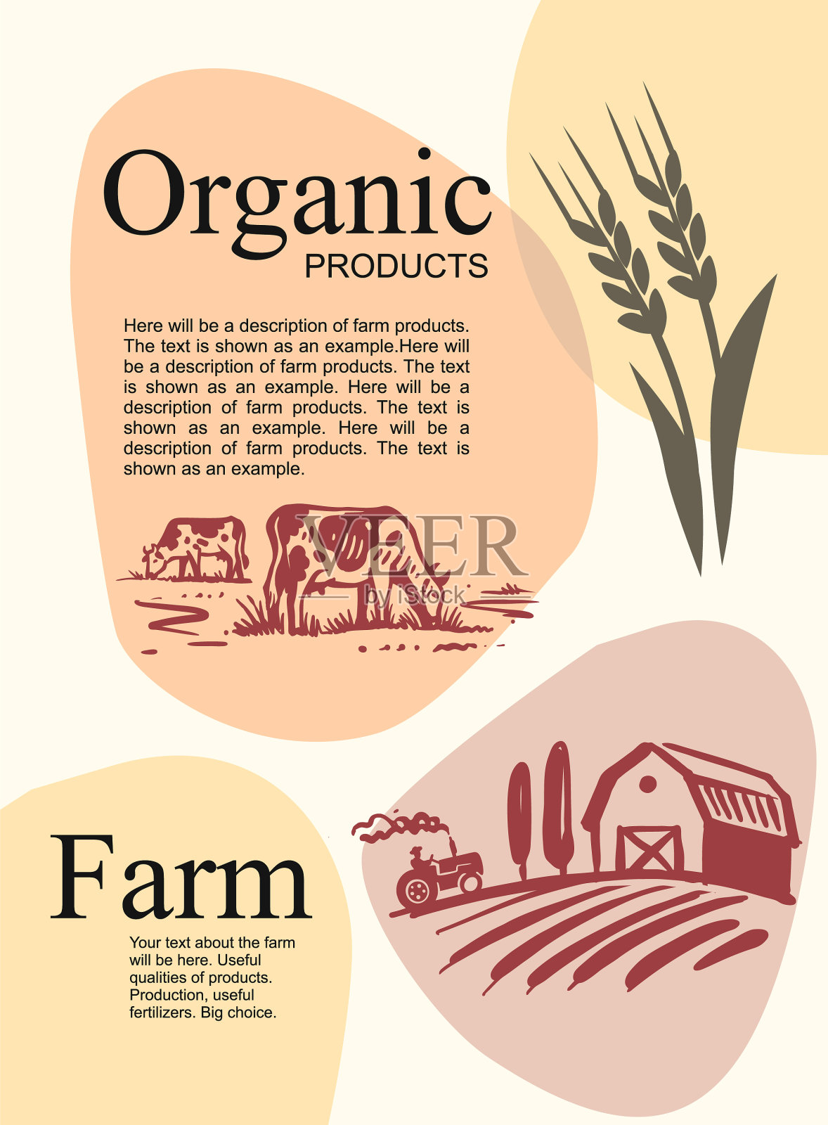 牛嚼草背景的农场村庄插画图片素材